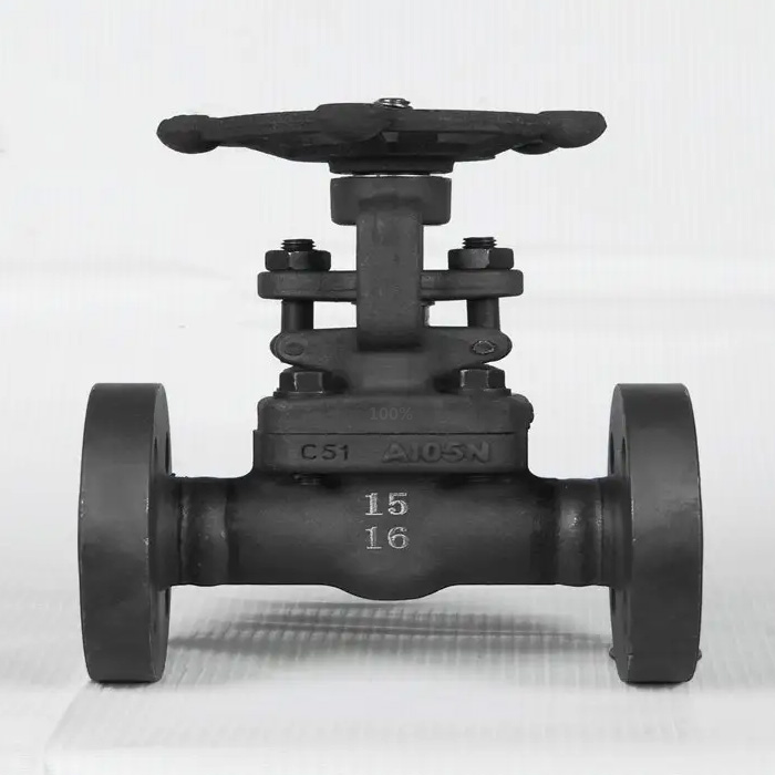 API 602 Dövme Sürgülü Vana